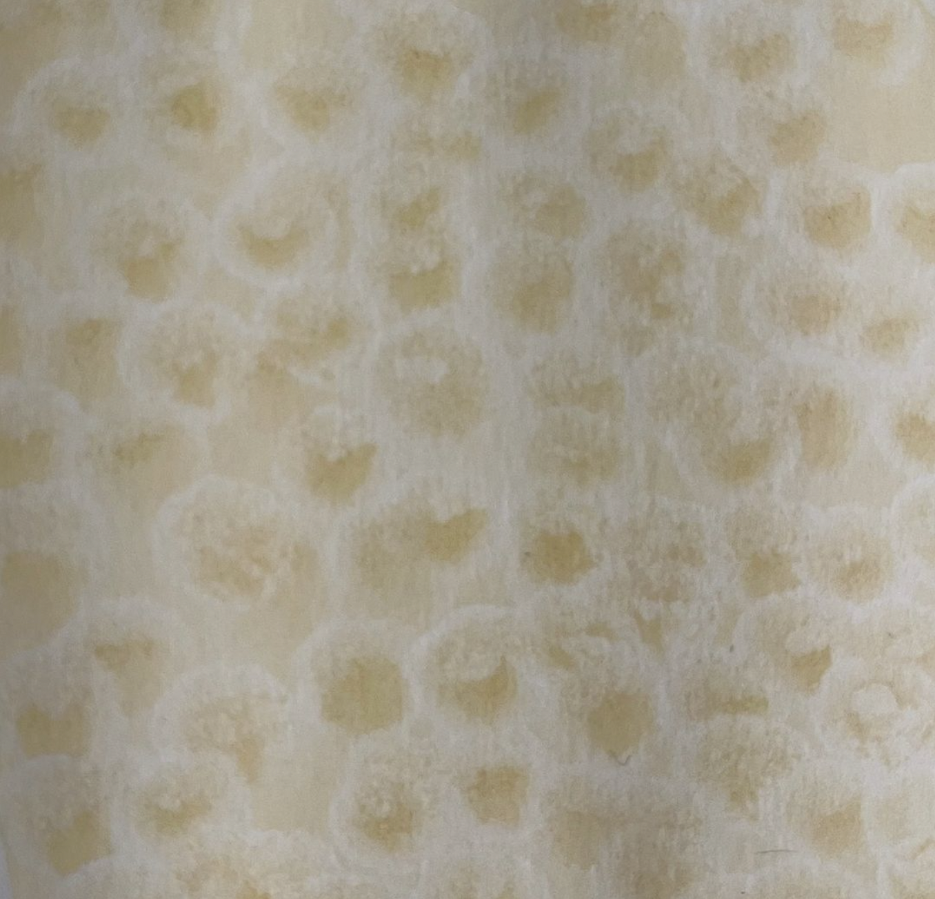 estampado vestido seda cortana